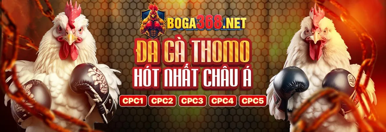 Khuyến Mãi Đá Gà vb777