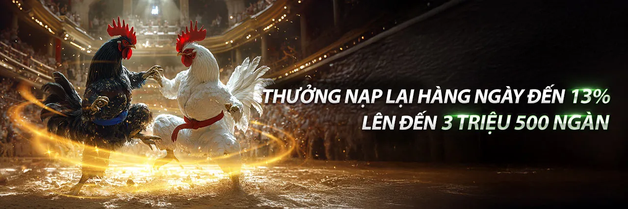 Đấu trường đá gà kịch tính tại VB777